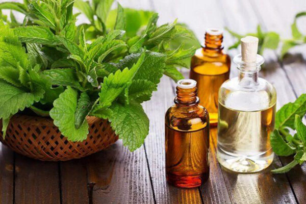 Pachtouli: Skincare Benefits of the Wonder Ayurvedic Herb