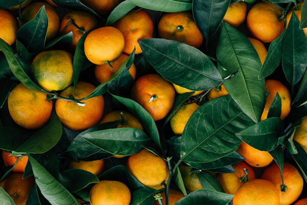 Orange Peel Benefits & Uses for the Skin