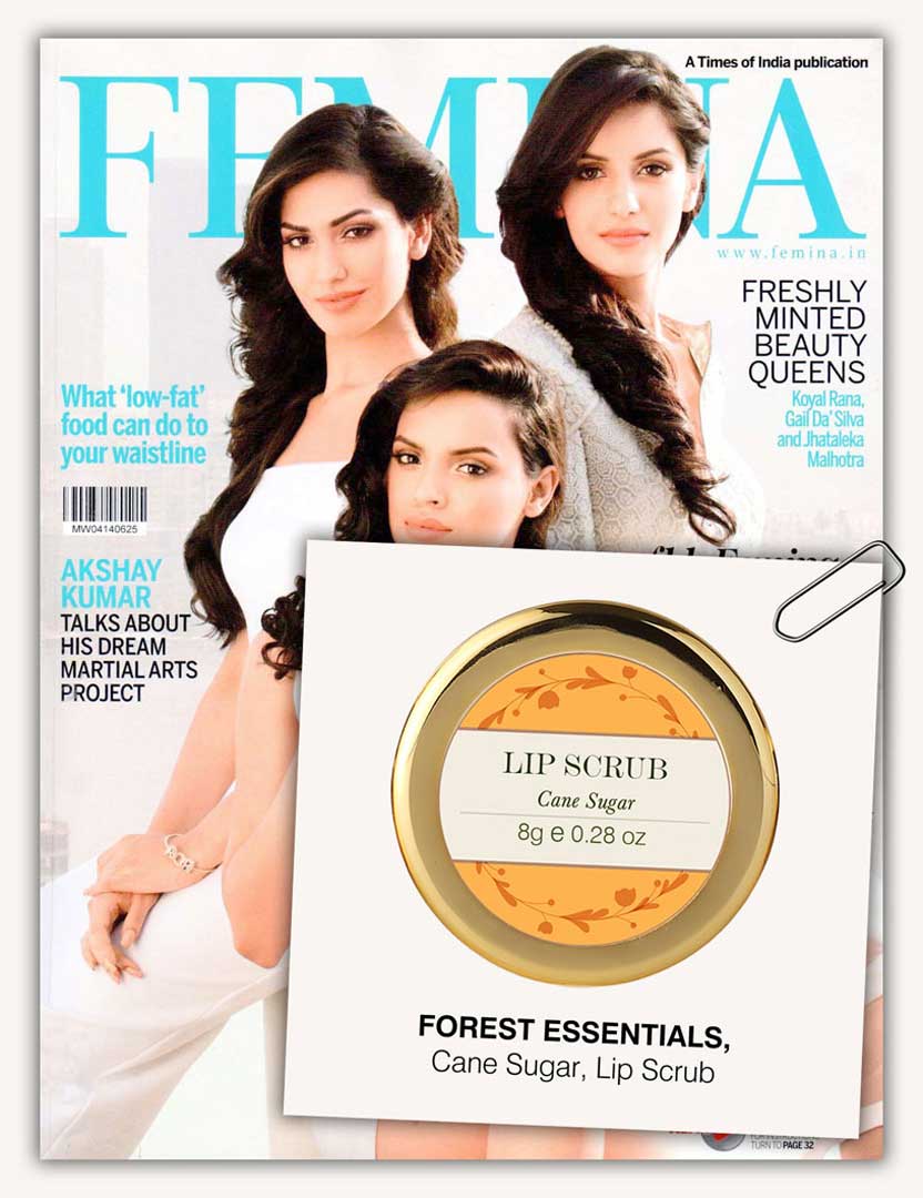 fe femina june 2014 final large