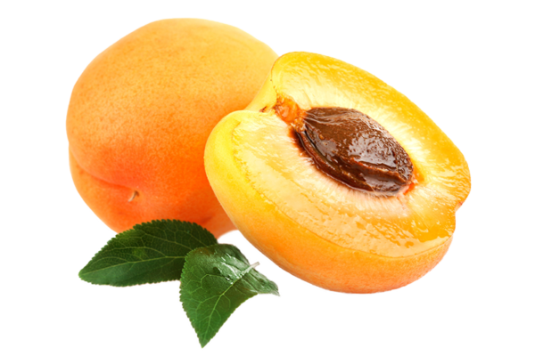 Apricot Oil