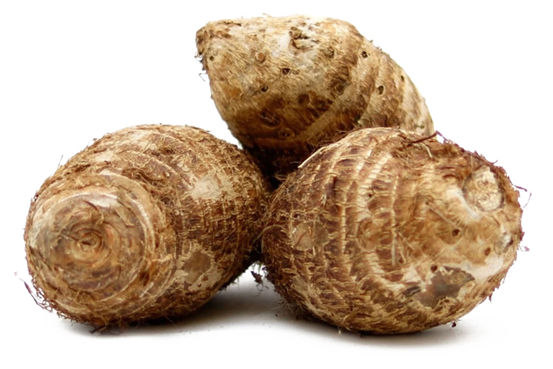 Arrowroot, Tuber, Edible Starch & Culinary Uses