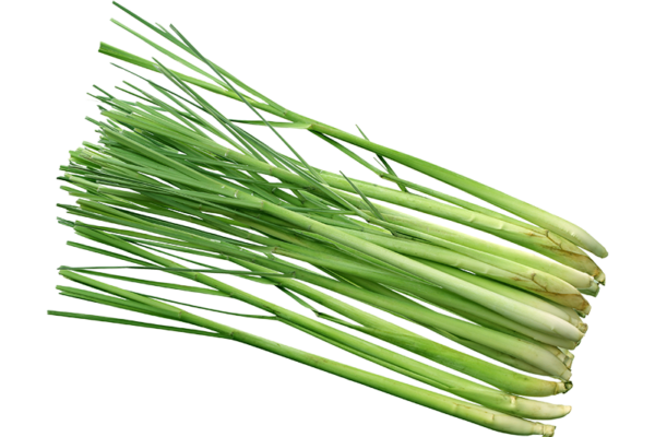 Lemongrass