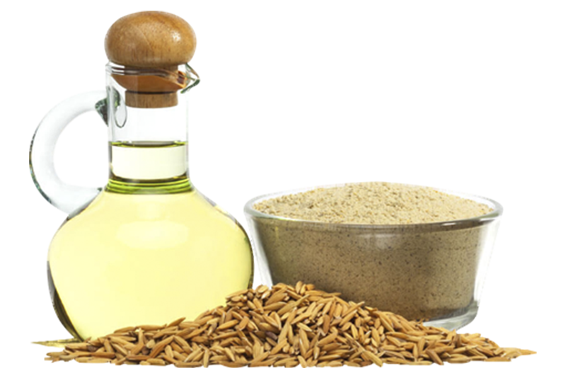 Rice Bran Oil: What Is It and Why Use It?