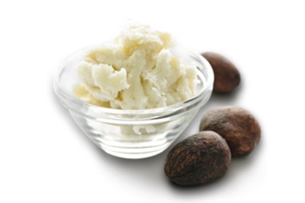 Shea Butter