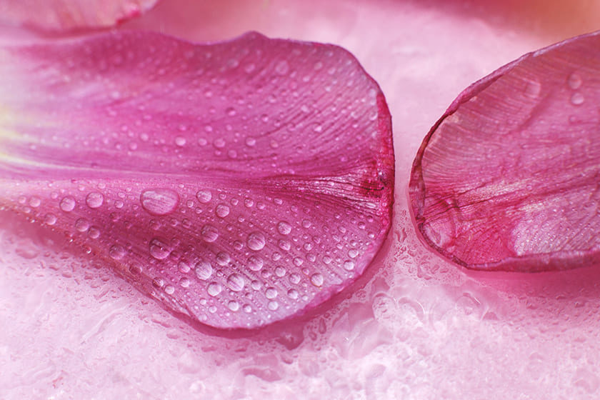 Benefits of Rose Water