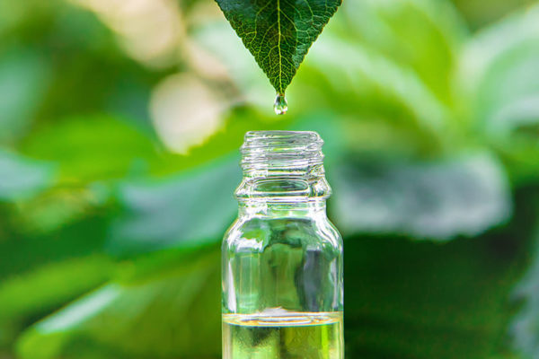 Tea Tree Oil for Acne: Uses, Side Effects & Benefits